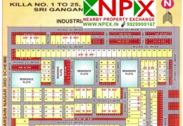 Plot and House For Sale at Nehra Nagar