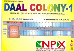 Plot 35×65 For Sale in Daal Colony – 1