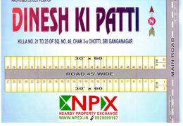 Plot 30×60 For Sale in DINESH KI PATTI ( Near Surjeet Singh Colony )