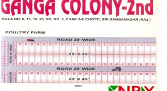Shop 25×45 Available For Sale in Ganga Colony – 2nd